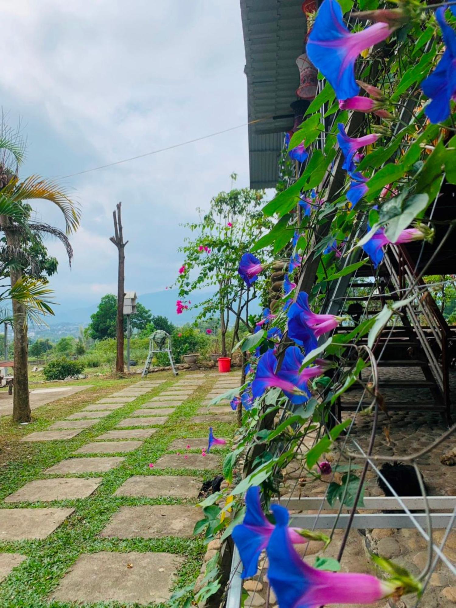 Yen Bai Homestay Nha Cua Mi - Mi'S House מראה חיצוני תמונה