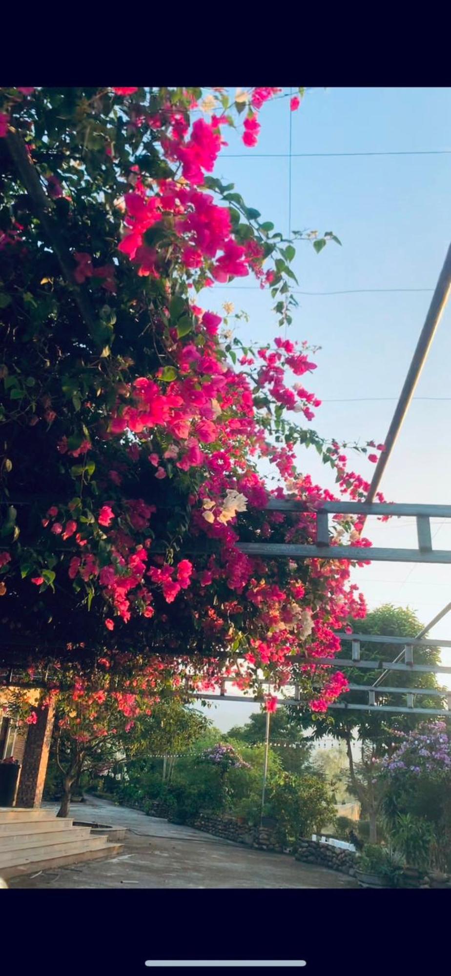Yen Bai Homestay Nha Cua Mi - Mi'S House מראה חיצוני תמונה