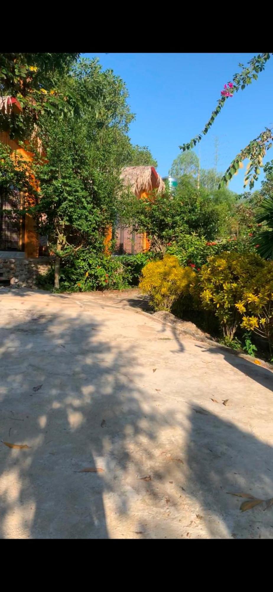 Yen Bai Homestay Nha Cua Mi - Mi'S House מראה חיצוני תמונה